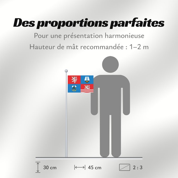 Proportions du drapeau : Karlovy Vary Region	Région de Karlovy Vary	Región de Karlovy Vary	Region Karlovy Vary	Regione di Karlovy Vary
