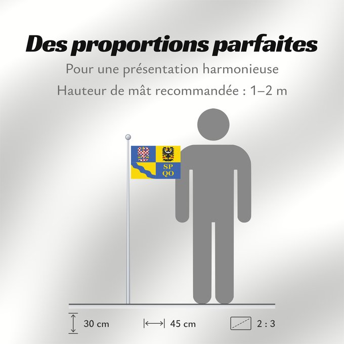 Proportions du drapeau : Olomouc Region	Région d'Olomouc	Región de Olomouc	Region Olomouc	Olomouckého kraje
