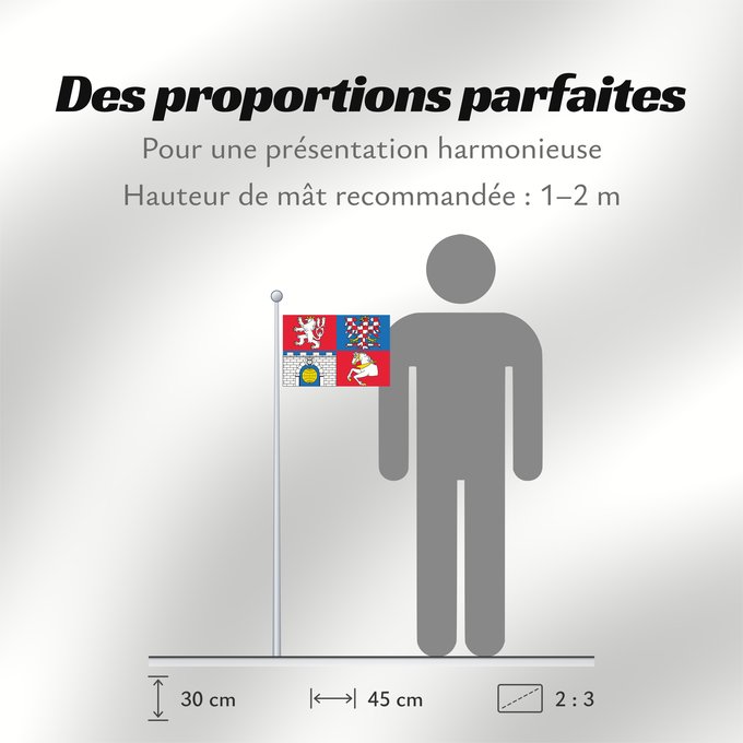 Proportions du drapeau : Pardubice Region Région de Pardubice Región de Pardubice Region Pardubice Pardubice Regione