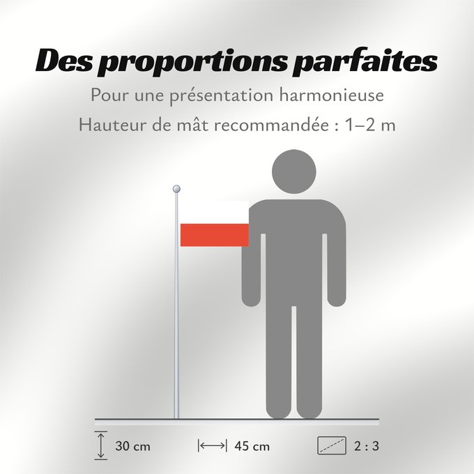 Proportions du drapeau : Thuringia	Thuringe	Turingia	Thüringen