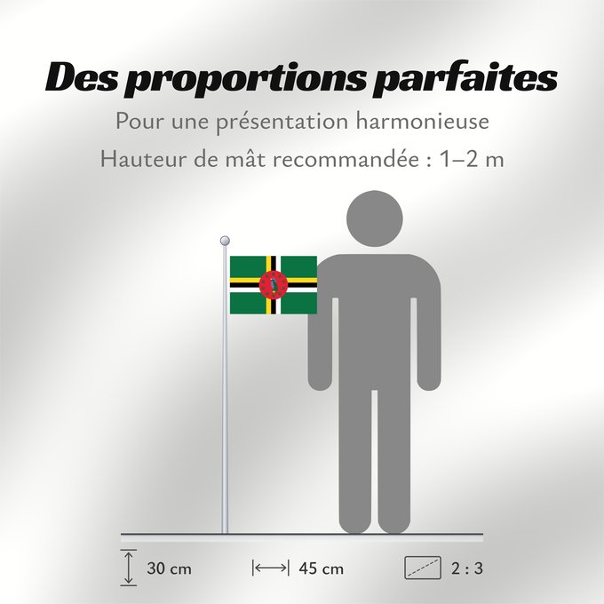 Proportions du drapeau : Dominica	 Dominique	Dominica lipp	Dominican	ドミニカ国の国旗	Флаг Доминики	Dominike	Dominicas