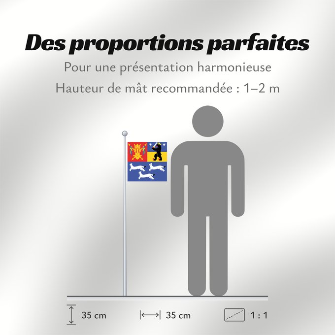 Proportions du drapeau : Länsi-Suomen lääni