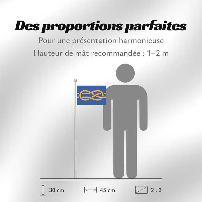 Proportions du drapeau : FIAV	Fédération internationale des associations vexillologiques   International Federation of Vexillological Associations	Fédération internationale des associations vexillologiques	Federación Internacional de Asociaciones Vexilológicas	FIAV (International