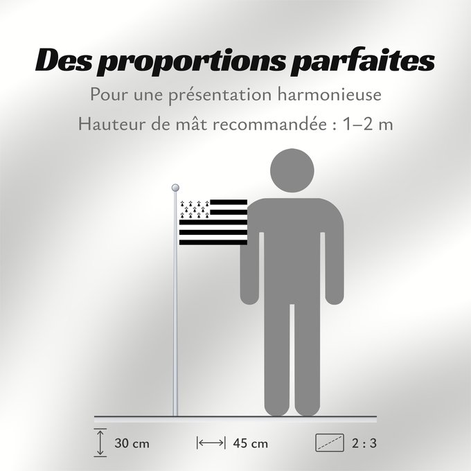 Proportions du drapeau : Brittany	The Gwenn-ha-du, flag of Brittany	Le Gwenn-ha-du, drapeau de la Bretagne	Spaniel Bretón	Bretagna	Ar Gwenn-ha-du, banniel Breizh