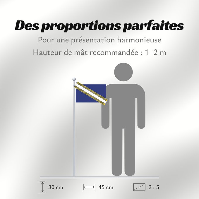 Proportions du drapeau : Champagne-Ardenne Region Champagne-Ardenne in France Région Champagne-Ardenne en France Champaña-Ardenas