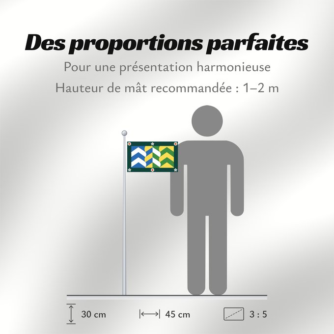 Proportions du drapeau : Cumbria