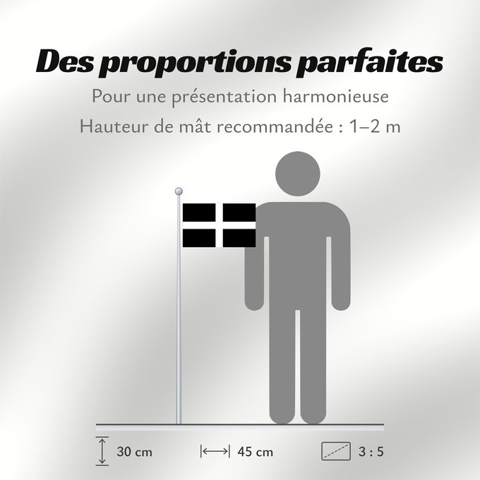 Proportions du drapeau : Cornwall	Saint Piran s Flag, Flag of Cornwall	Saint Piran, Drapeau des Cornouailles	Cornualles	Cornovaglia	Cornwealla fana	Banniel Sant Piran	Cernyw	Chorn	Peran, Baner Kernow	Cornubiae