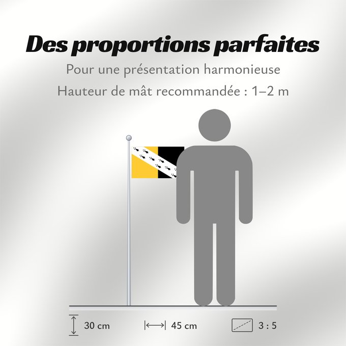 Proportions du drapeau : Norfolk