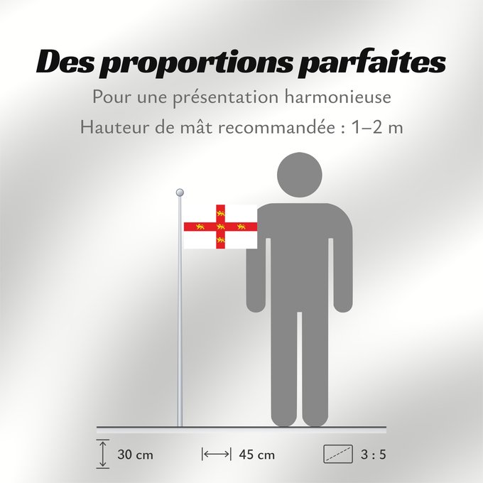 Proportions du drapeau : York