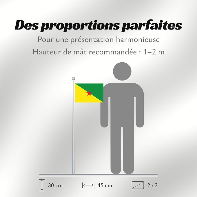 Proportions du drapeau : French Guiana	Guyane	Guayana Francesa	Französisch-Guayana	Guyana Francese