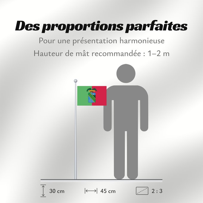 Proportions du drapeau : Latina Province of Latina Province de Latina Provincia de Latina Provinz Latina Provincia di Latina