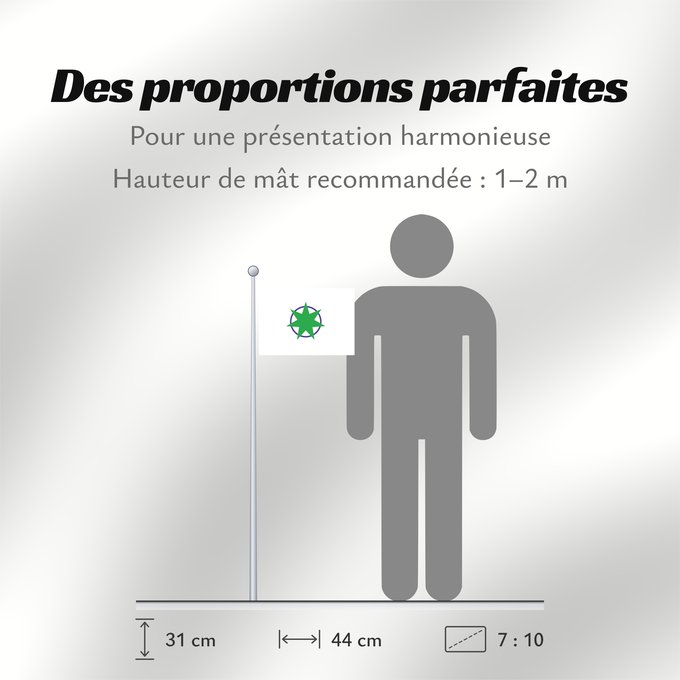 Proportions du drapeau : Aomori