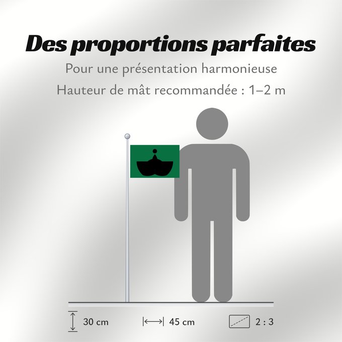 Proportions du drapeau :  Tiba [Chiba]