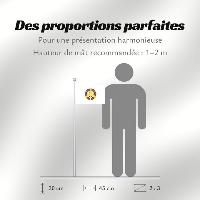 Proportions du drapeau : Kyoto City	Kyôto City	Kyōto ou Kyoto	Kioto	Kyōto	De Kyôto  Quioto	京都市旗	京都市旗 / 교또시기	​京都市旗