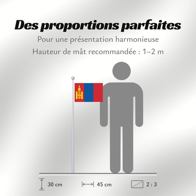 Proportions du drapeau : Mongolia Mongolie Mongolei علم منغوليا མོང་གོལ། དར་ཆ། Mūng-gū guók-gì Mongoolia lipp Mùng-kú-koet khì Моңғолия байрағы 몽골의 국기 Моңголстан туусу Знаме на Монголија .mw-parser-output Флаг Монголии Парчами Муғулистон Монголия байдаги Монголия байрагы Моңғул