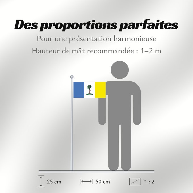 Proportions du drapeau : Pulau Pinang