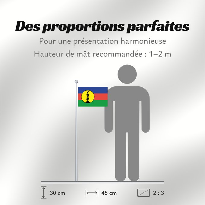 Proportions du drapeau : FLNKS	Kanak and Socialist National Liberation Front political party	Front de libération nationale kanak et socialiste	Colores Pantone http //www	Neukaledonien	Nuova Caledonia	Front d Alliberament Nacional Canac Socialista