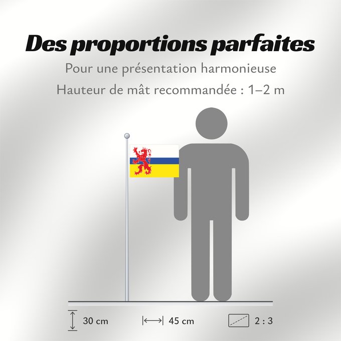 Proportions du drapeau : Limburg  Netherlands	Dutch province Limburg	Limbourg	Limburgo	Limburg	Nederlandse province Limburg