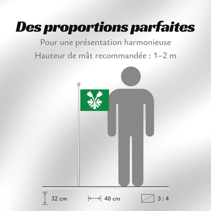 Proportions du drapeau : Oppland Former county of Oppland, Norway comté d’Oppland