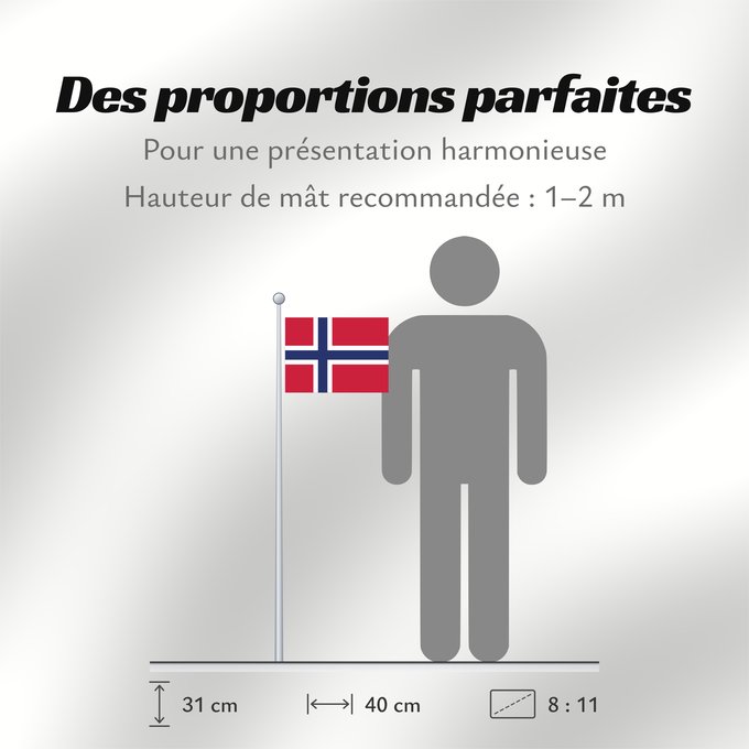 Proportions du drapeau : Svalbard