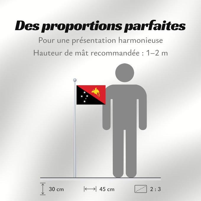 Proportions du drapeau : Papua New Guinea	Papua New GuineaColours Pantone 186 C for red and 116 C for yellow	Papouasie-Nouvelle-Guinée	Papúa Nueva Guinea	Papua-Neuguineas	Papua Nuova Guinea	Papoea-Nieuw-Guinea	Papua-Nova Guiné	Papui-Nowej Gwinei	علم بابوا غينيا الجديدة	পাপুয়া নি