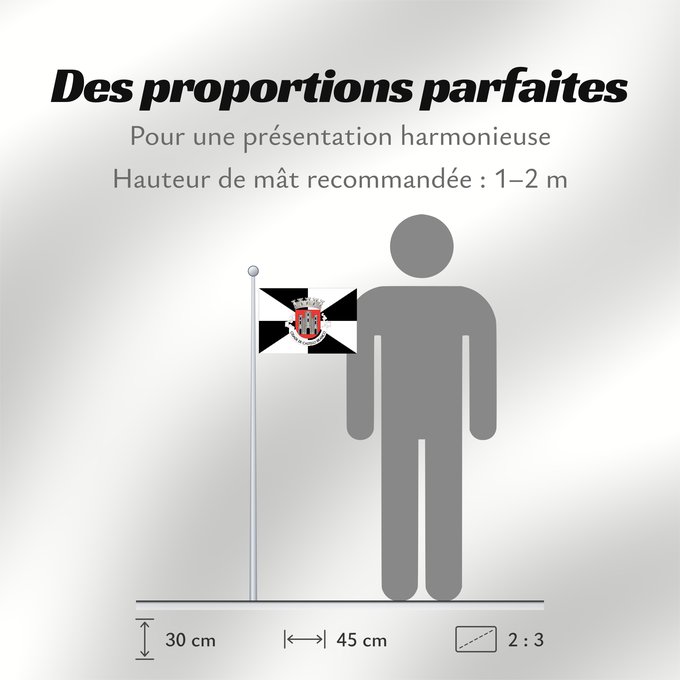 Proportions du drapeau : Castelo Branco