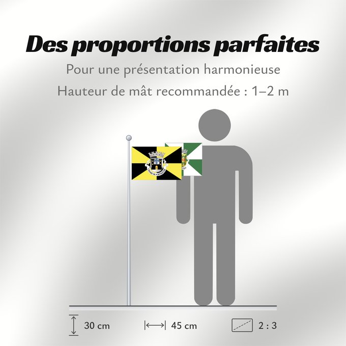 Proportions du drapeau : Portalegre