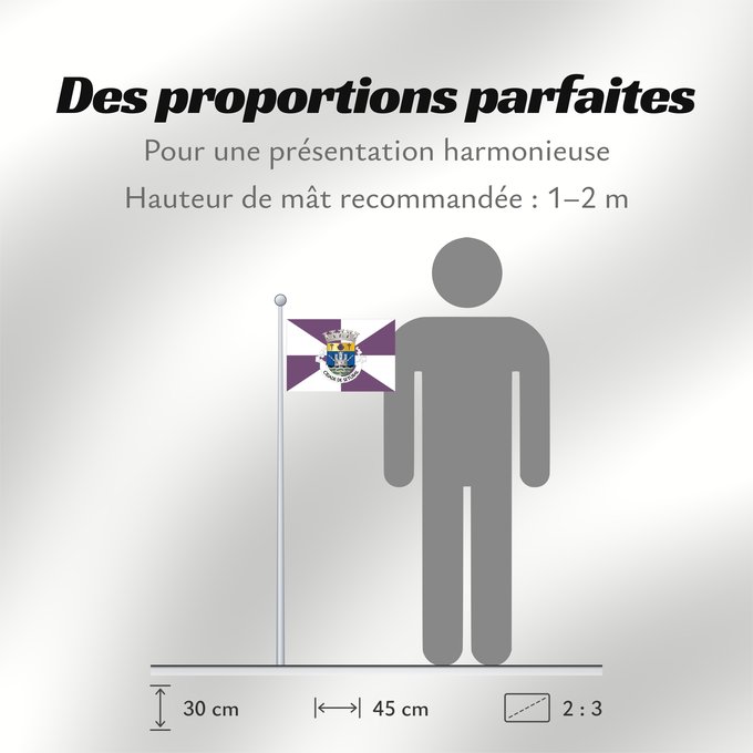 Proportions du drapeau : Setúbal