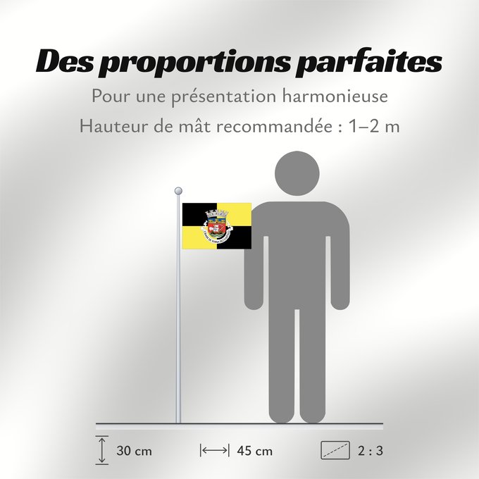 Proportions du drapeau : Viana do Castelo