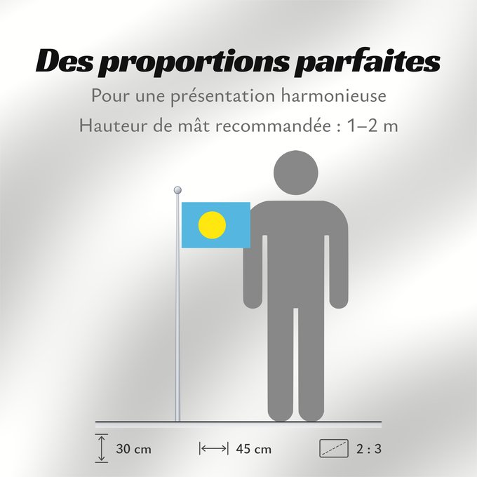 Proportions du drapeau : Palau	Palau, made by User Gabbe	 Palaos	Palaos	パラオの国旗	Palaua	​帕勞國旗