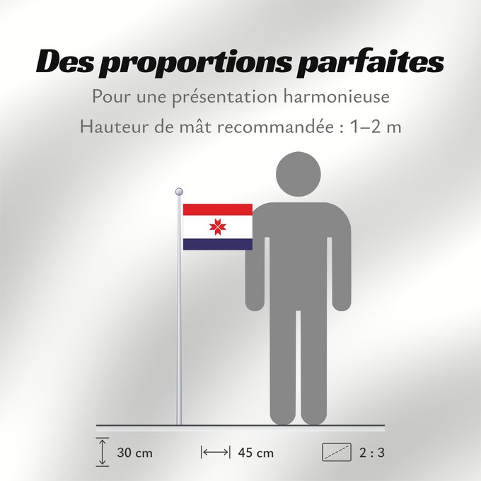 Proportions du drapeau : Mordovia	Republic of Mordovia	Mordovie	 República de Mordovia 	Mordowia	Repubblica di Mordovia