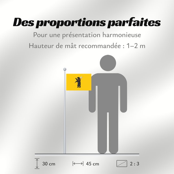 Proportions du drapeau : Yaroslavl Oblast	Oblast de Iaroslavl	Óblast de Yaroslavl	Oblast Jaroslawl	Флаг Ярославской области