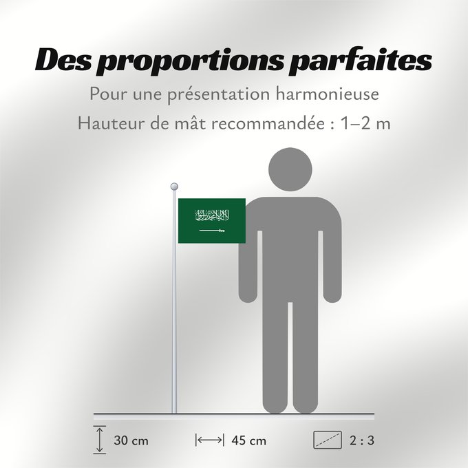 Proportions du drapeau : Civil Ensign of Saudi Arabia  obverse	Saudi Arabia	Arabie saoudite	Arabia Saudita	Saudi-Arabien	الشعار المدني في الأعلى على الركن الأيمن للعلم، ومعدل التناسب ٢ ٣