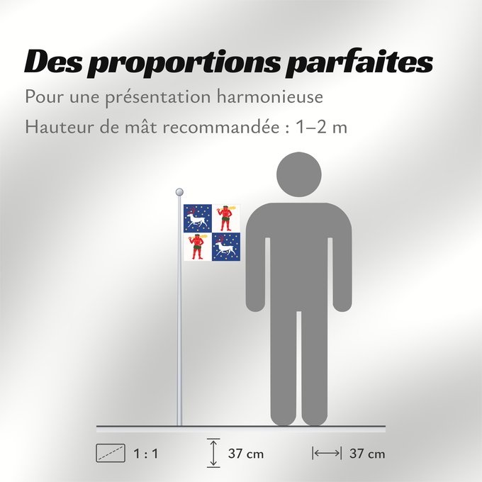 Proportions du drapeau : Norrbottens län vapenflagga Norrbotten County in Sweden Norrbotten Norrbottens läns vapenflagga