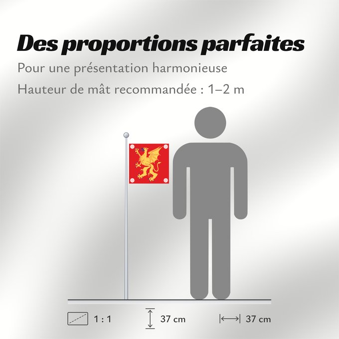 Proportions du drapeau : Östergötlands län