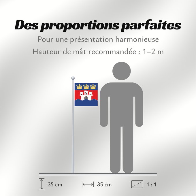 Proportions du drapeau : Jönköpings län vapenflagga	Jönköping County in Sweden	Jönköping	Jönköpings läns vapenflagga
