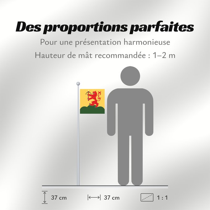 Proportions du drapeau : Kronobergs län vapenflagga	Kronoberg County in Sweden	Kronoberg	Provincia de Kronoberg	Kronobergs läns vapenflagga