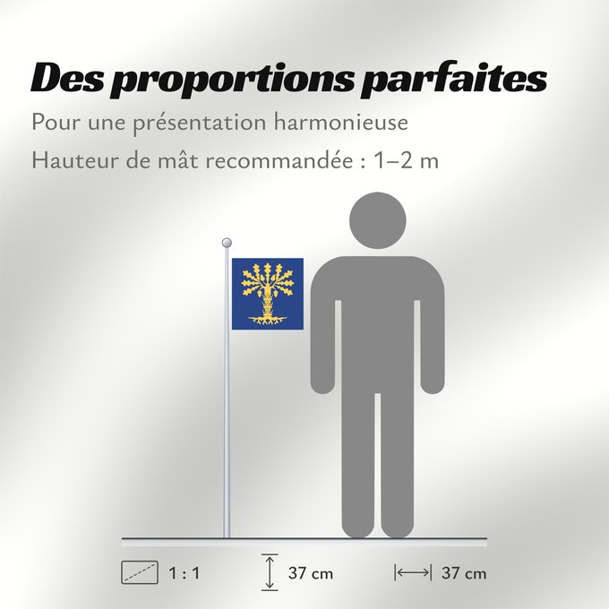 Proportions du drapeau : Blekinge län vapenflagga	See about CoA blazoning [Expand]	Blekinge	Blekinge läns vapenflagga