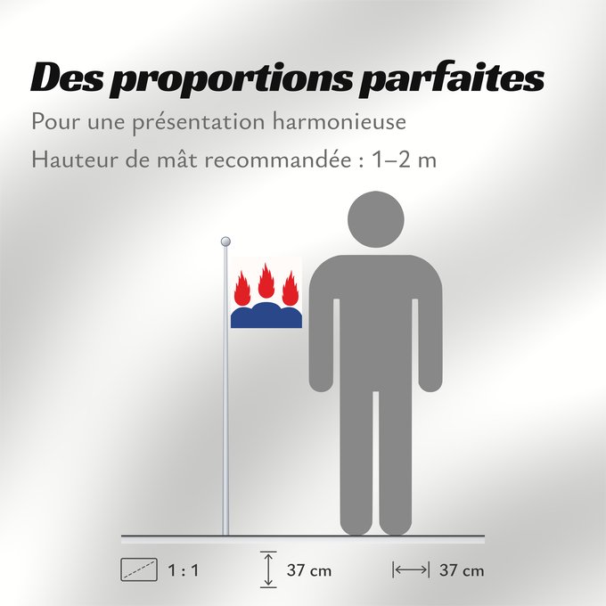 Proportions du drapeau : Västmanlands län