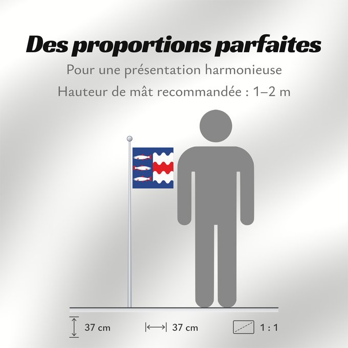 Proportions du drapeau : Västernorrlands län