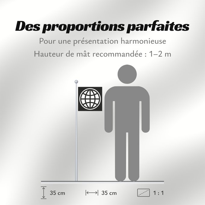 Proportions du drapeau : The World Bank Group