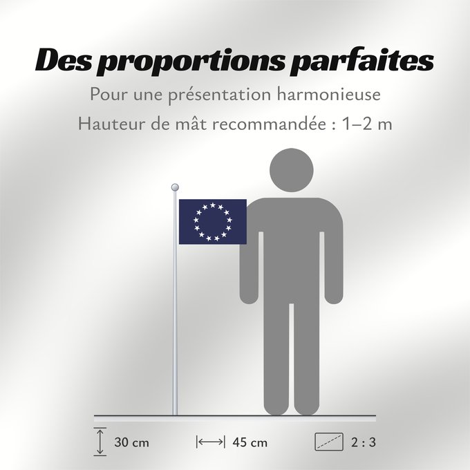 Proportions du drapeau : United States Foreign Service Officer	Flag of a United States Foreign Service Officer	The official flag for an officer of the United States Foreign Service