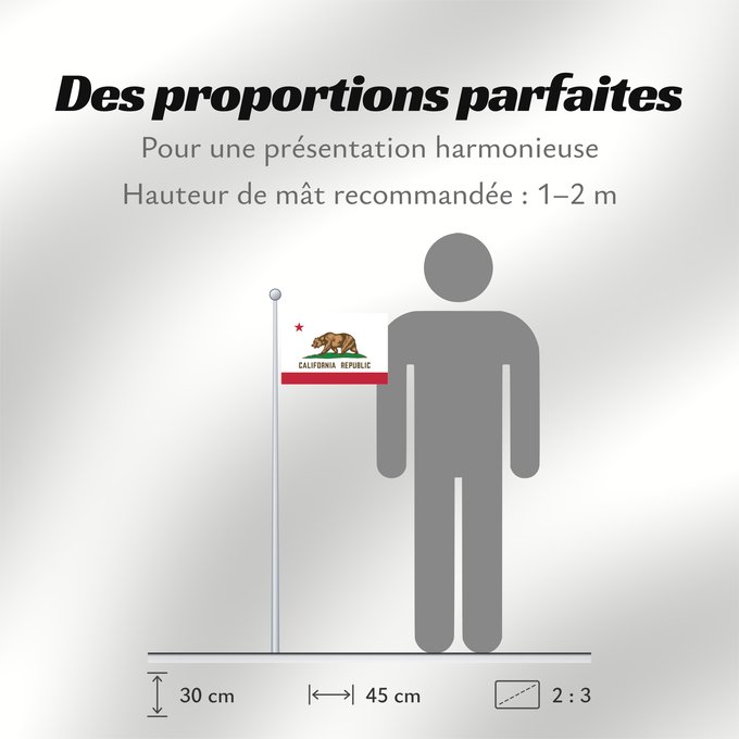 Proportions du drapeau : California Californie Kalifornien Californië ᎠᏕᎳᏧᏢᎢ ᎦᏓᏘ Ka hae Kaleponi דגל מדינת קליפורניה Californiae Ahééháshį́į́h Hahoodzo bidah naatʼaʼí Флаг Калифорнии Američke savezne države Kalifornije ⴰⵙⴻⵏⵢⴰⵍ ⵏ ⴽⴰⵍⵉⴼⵓⵕⵏⵢⴰ