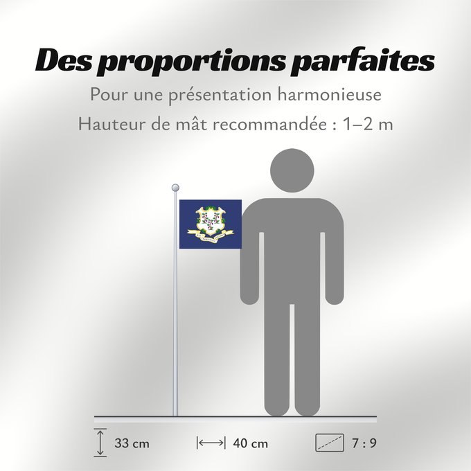 Proportions du drapeau : Connecticut	ᎧᏁᏓᎦᏗ ᎦᏓᏘ	Ka hae Konekikuka	Connecticutae	Kanédiki  hahoodzo bidah naatʼaʼí	Флаг Коннектикута	Američke savezne države Konektikat