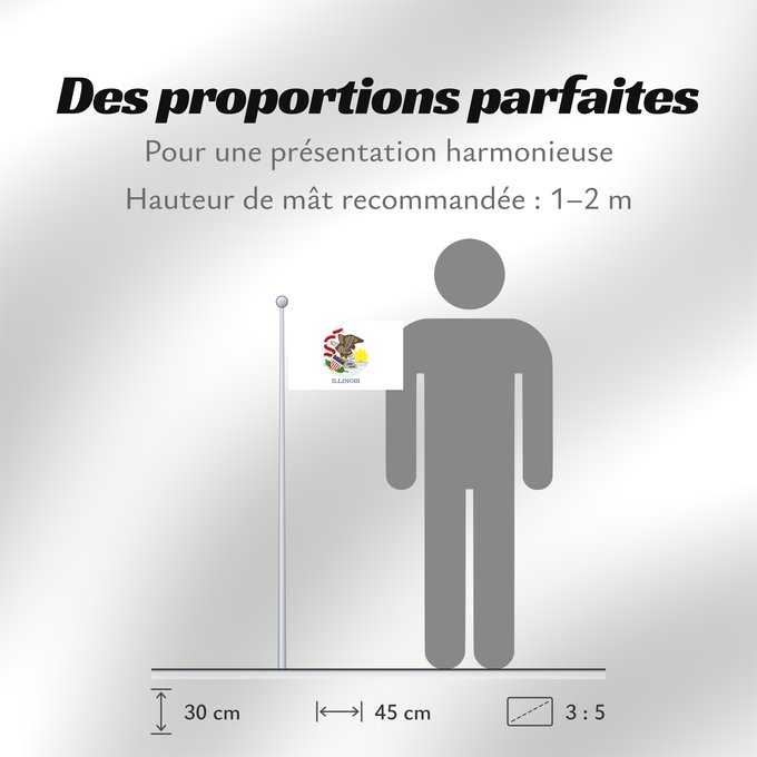 Proportions du drapeau : Illinois