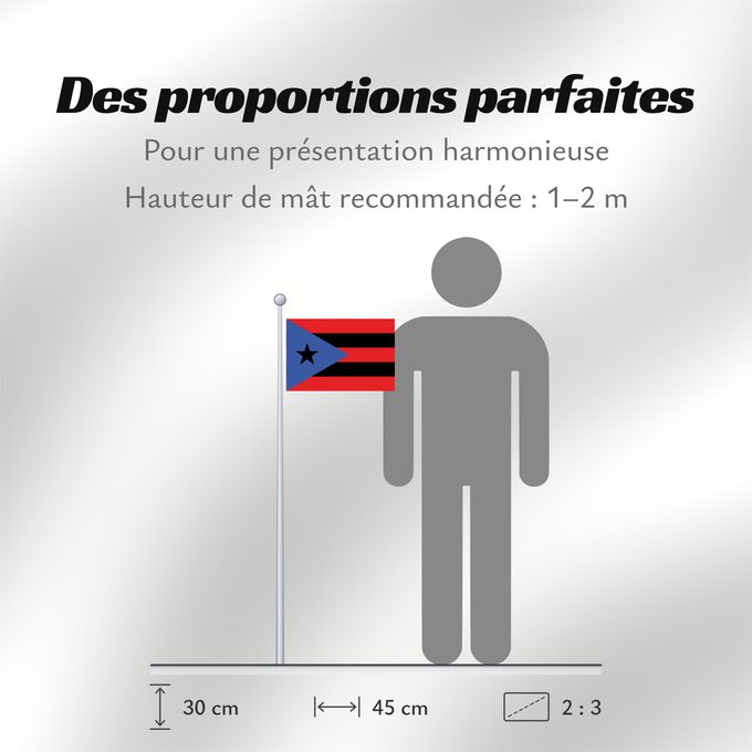 Proportions du drapeau : Puerto Rico