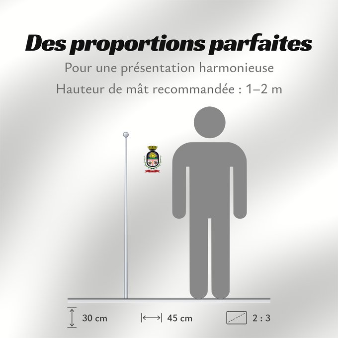 Proportions du drapeau : Cerro Largo