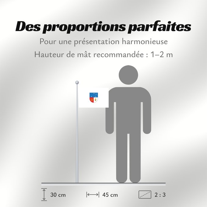 Proportions du drapeau : Colonia Department	Colonia	 département de Colonia 