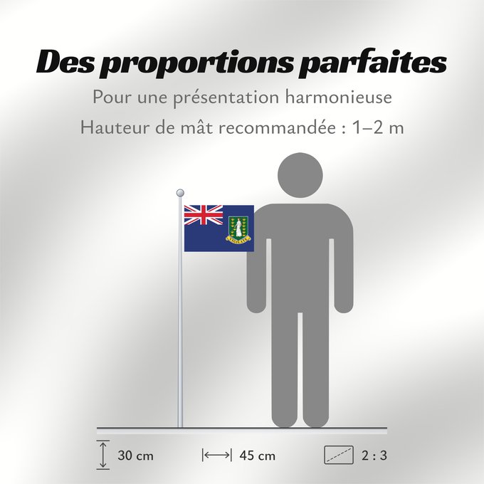 Proportions du drapeau : British Virgin Islands	Virgin Islands, British	Vierges britanniques !Îles Vierges britanniques	Islas Vírgenes Británicas	Britische Jungferninseln	Isole Vergini Britanniche