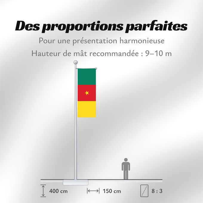 Proportions du drapeau : Cameroon	Cameroun	Camerún	Kamerun	Camerun	ক্যামেরুনের পতাকা।	Kamerunu	Kameruno	پرچم کامرون	Fändel vum Kamerun	Знаме на Камерун	Camerunului	Kameruna	Kameruns